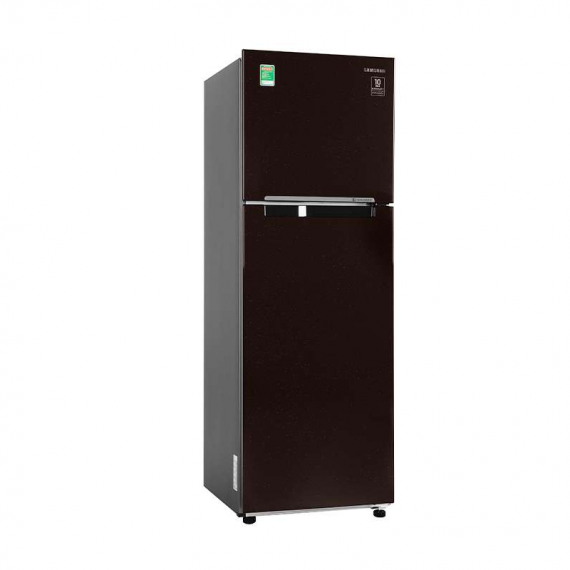 Tủ lạnh Samsung Inverter 236 lít RT22M4032BY/SV RT22M4032BYSV